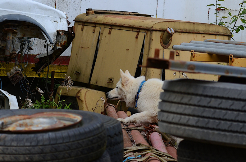 DSC_8981U.JPG